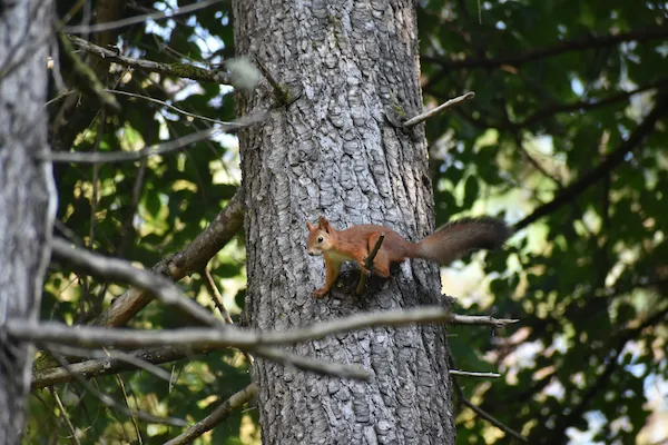 Открытие новой экологической тропы