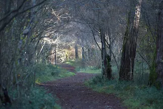 Route image