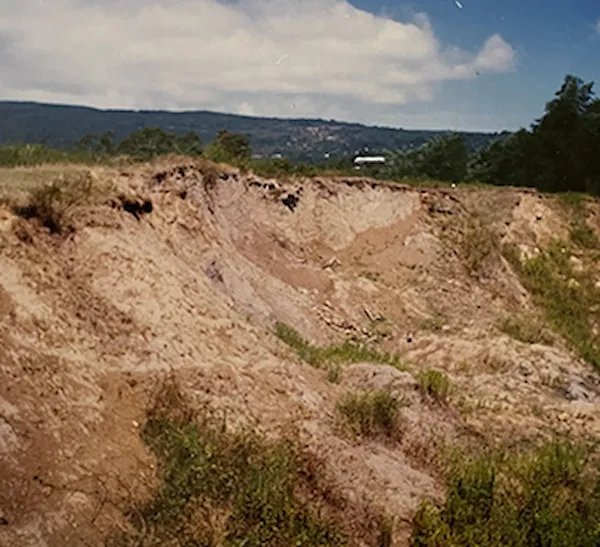 Война и окружающая среда